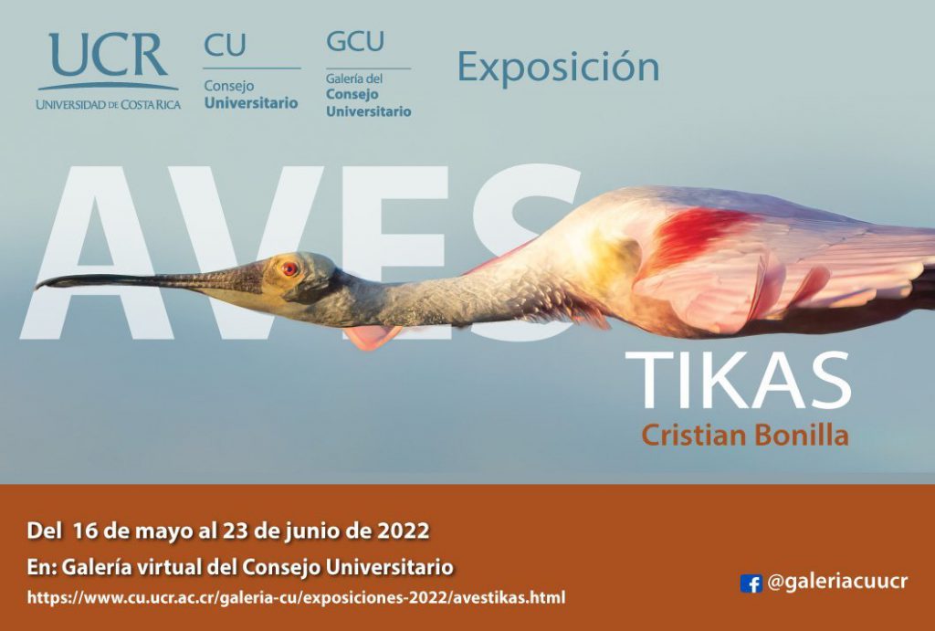 Aves Tikas