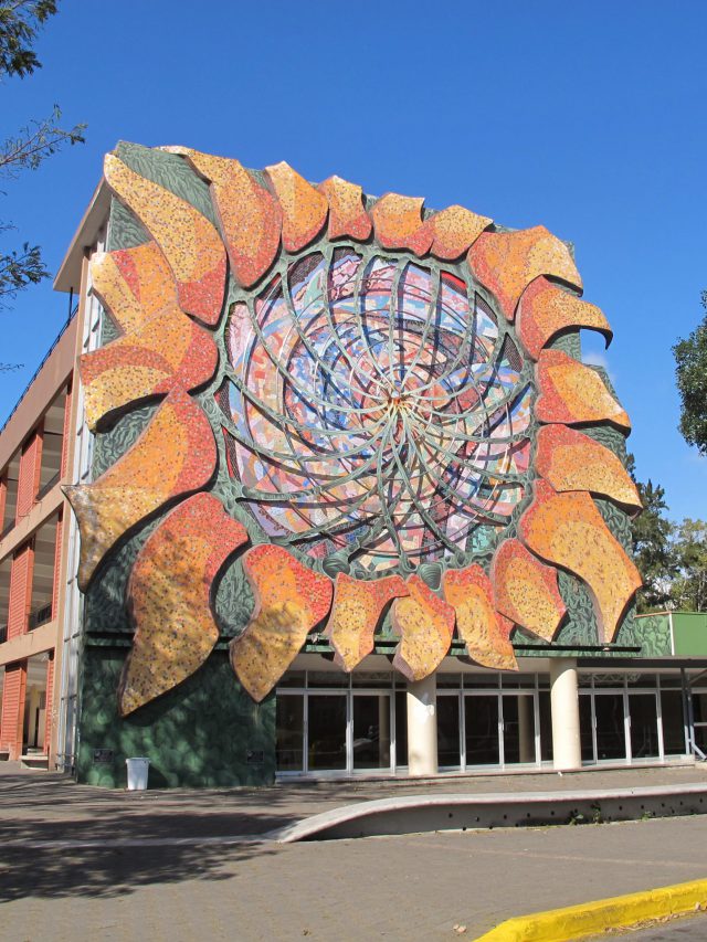 Universidad de Costa Rica, girasol