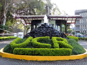 UCR-jardines