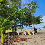 Playa Cocles es un sitio muy visitado por los turistas que desean practicar el surf. (Foto: Sebastián Sánchez Ramírez).