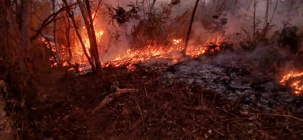 Incendio forestal en Costa Rica
